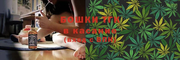 молекула духа Новодвинск