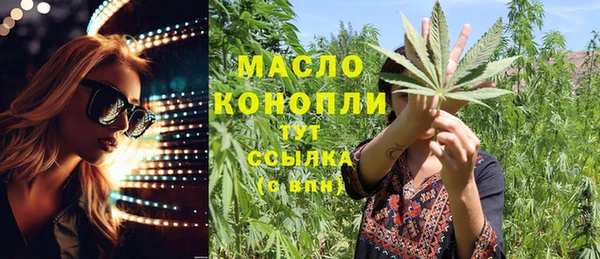 молекула духа Новодвинск